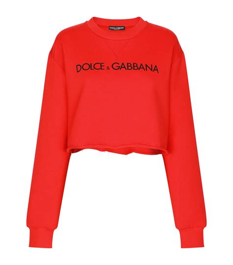 dolce gabbana sweater women.